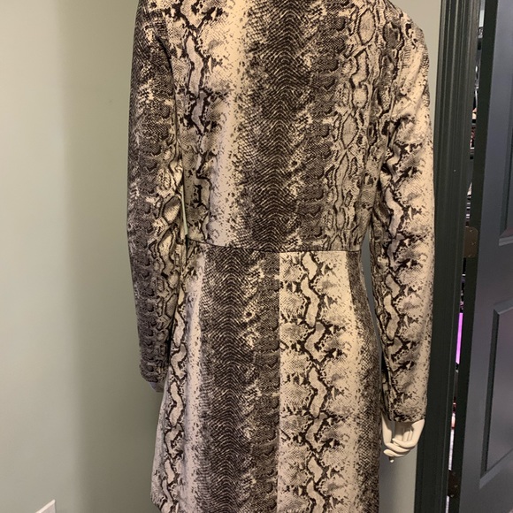 Stunning Dynamite Dress - Picture 4 of 4